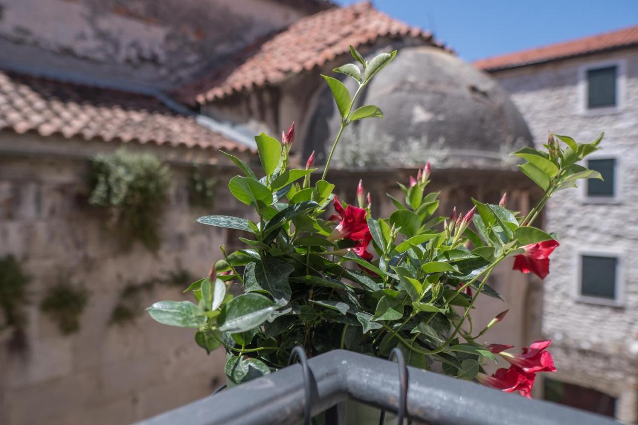 Olive Grove Of Sibenik - Apartment With Gallery 外观 照片